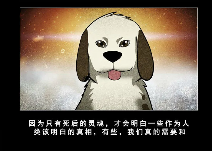 老狗0814