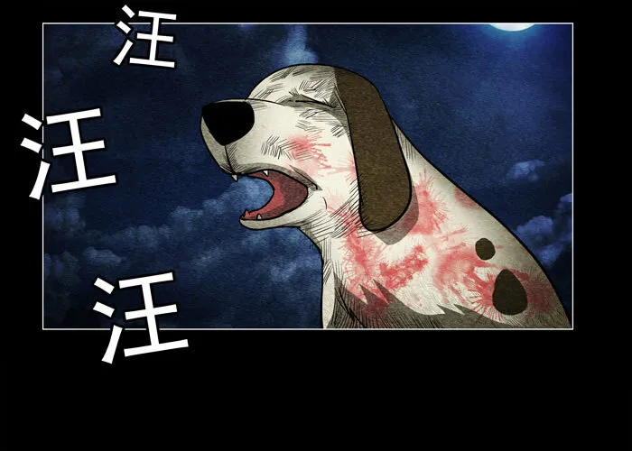 老狗0712