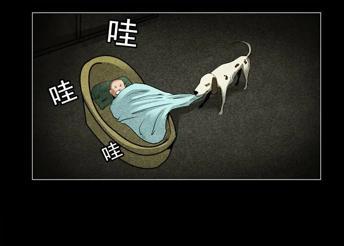 老狗067