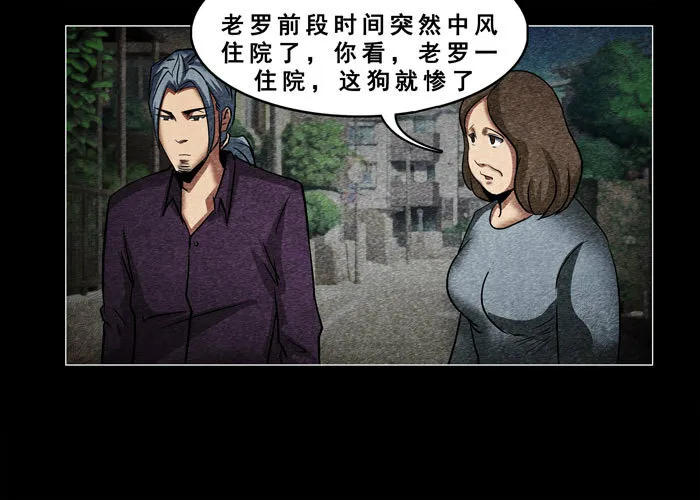 老狗023