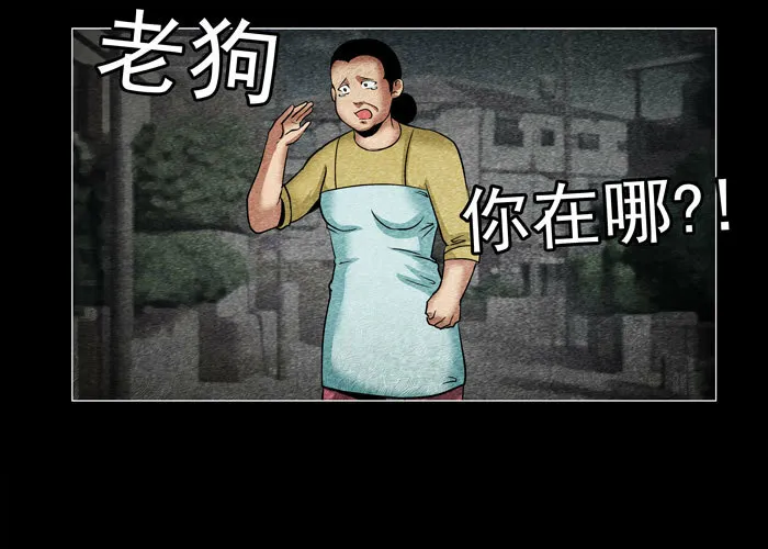 老狗072