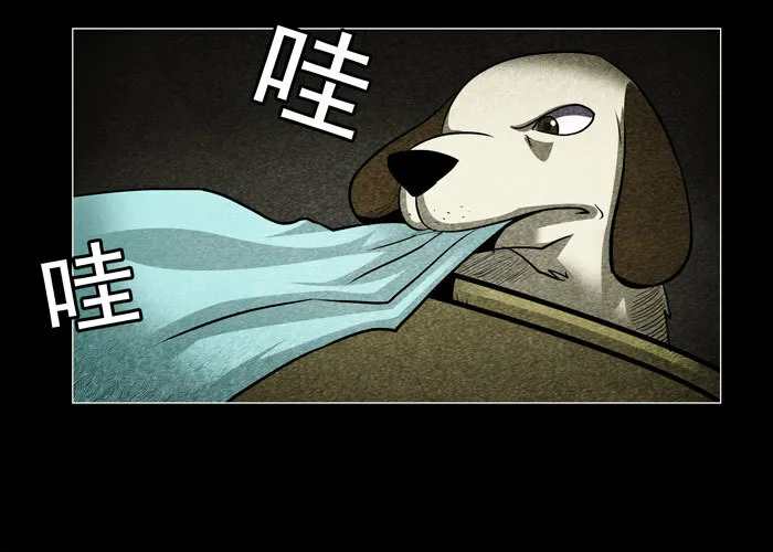 老狗066