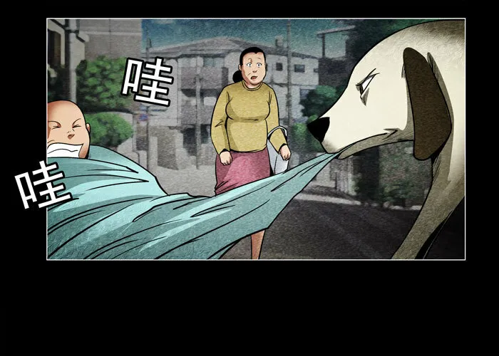 老狗0611