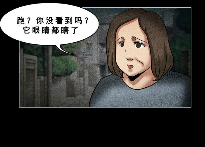 老狗026