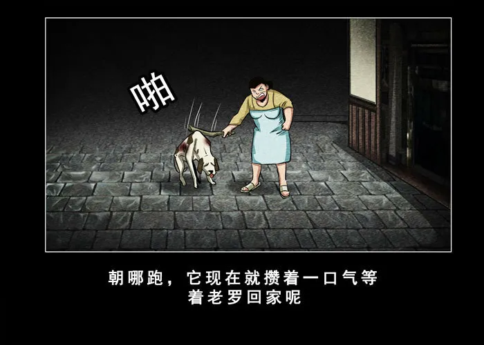 老狗027