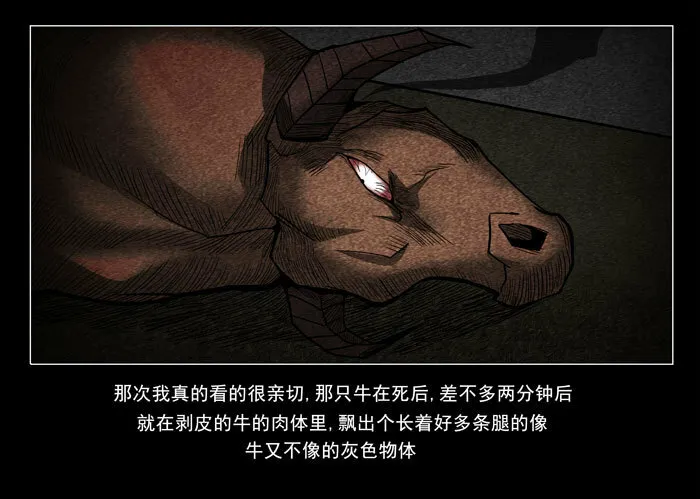 阴阳眼216