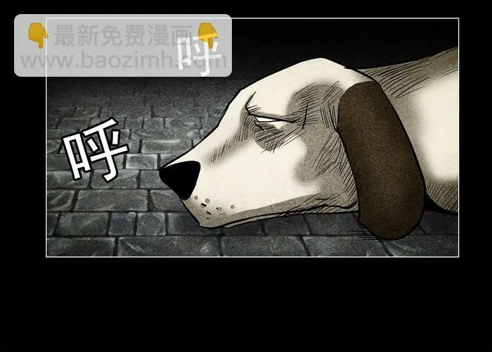 老狗033