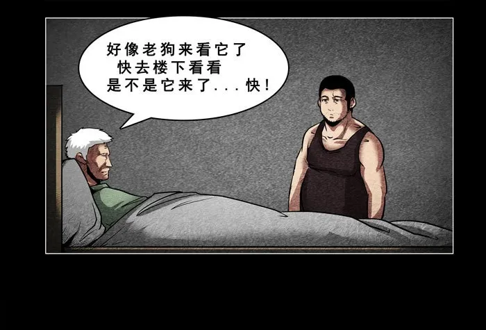 老狗0717