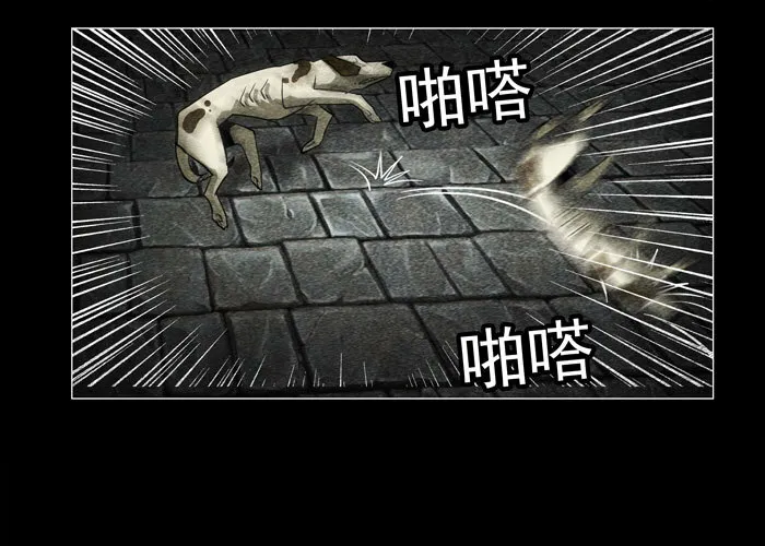 老狗0113