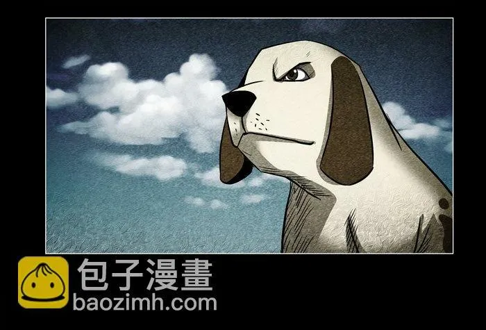 老狗0526