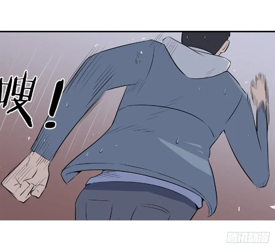 叶玲311