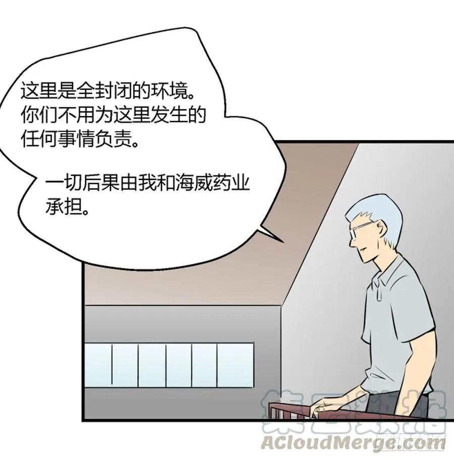 机会242