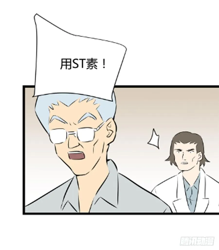 ST素24