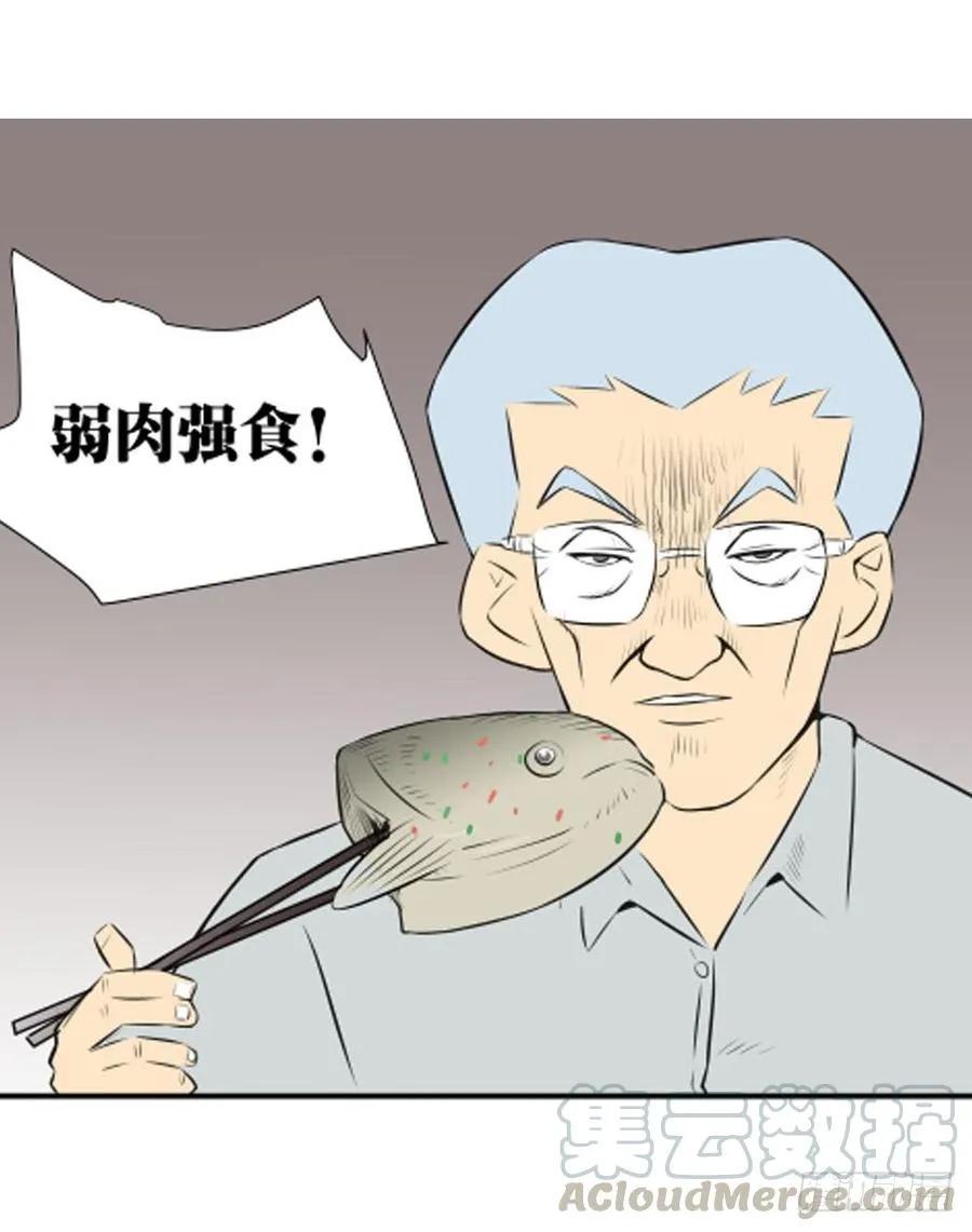 弱肉强食！49