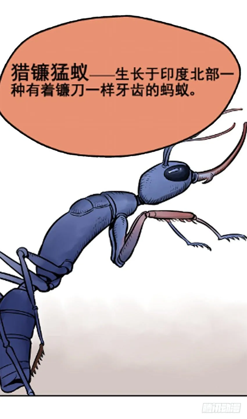 物尽天择 适者生存！123