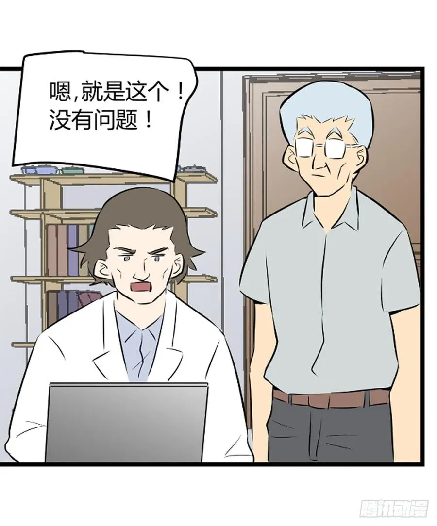 叶玲248
