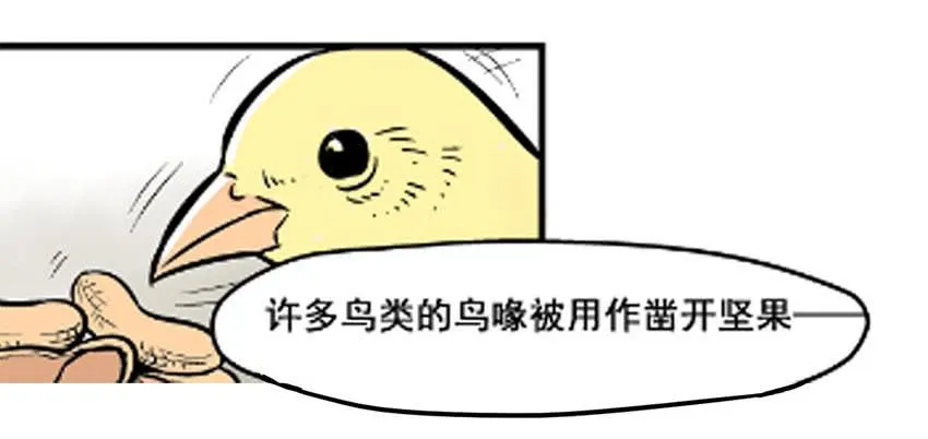 物尽天择 适者生存！108