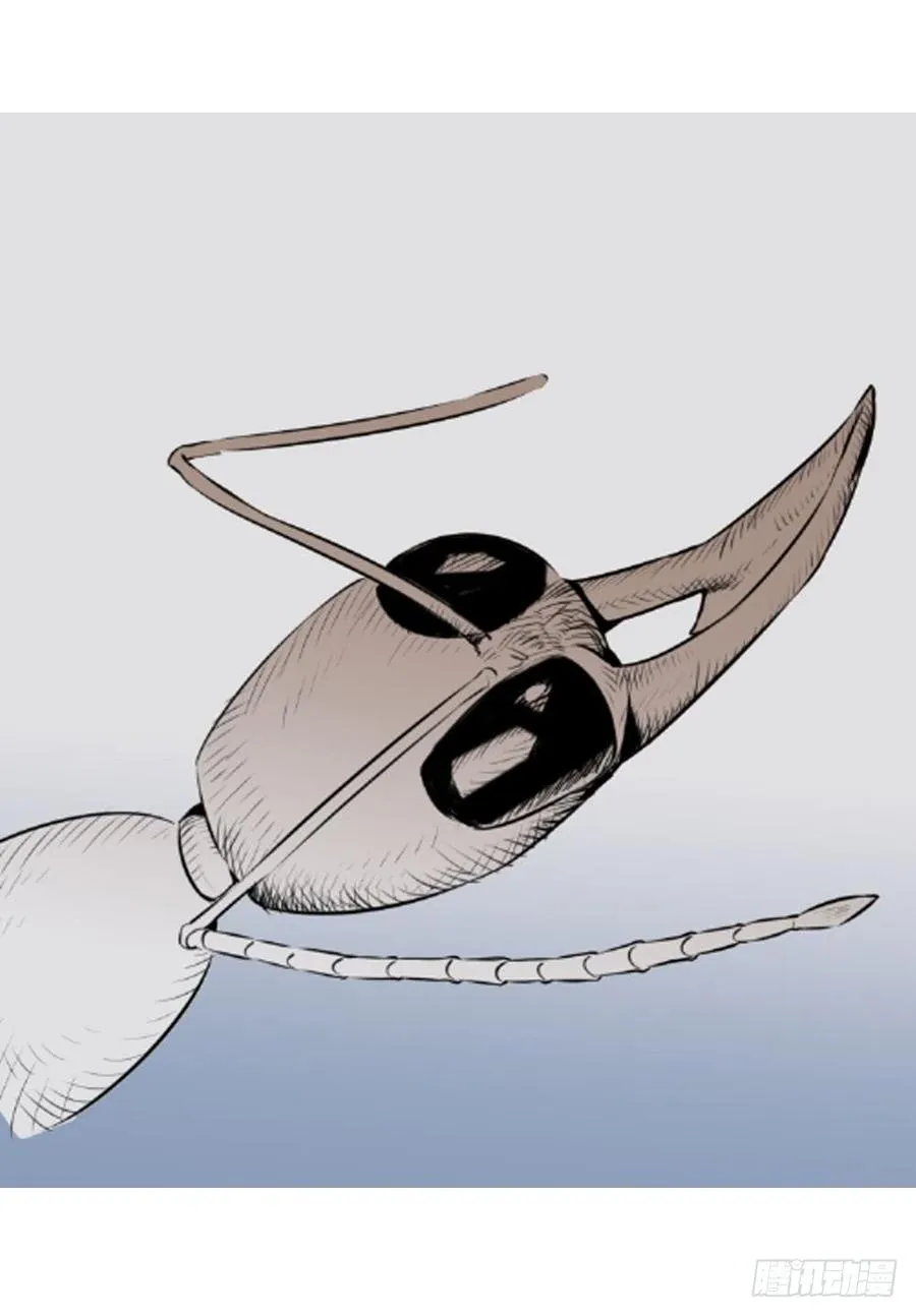 噩梦71