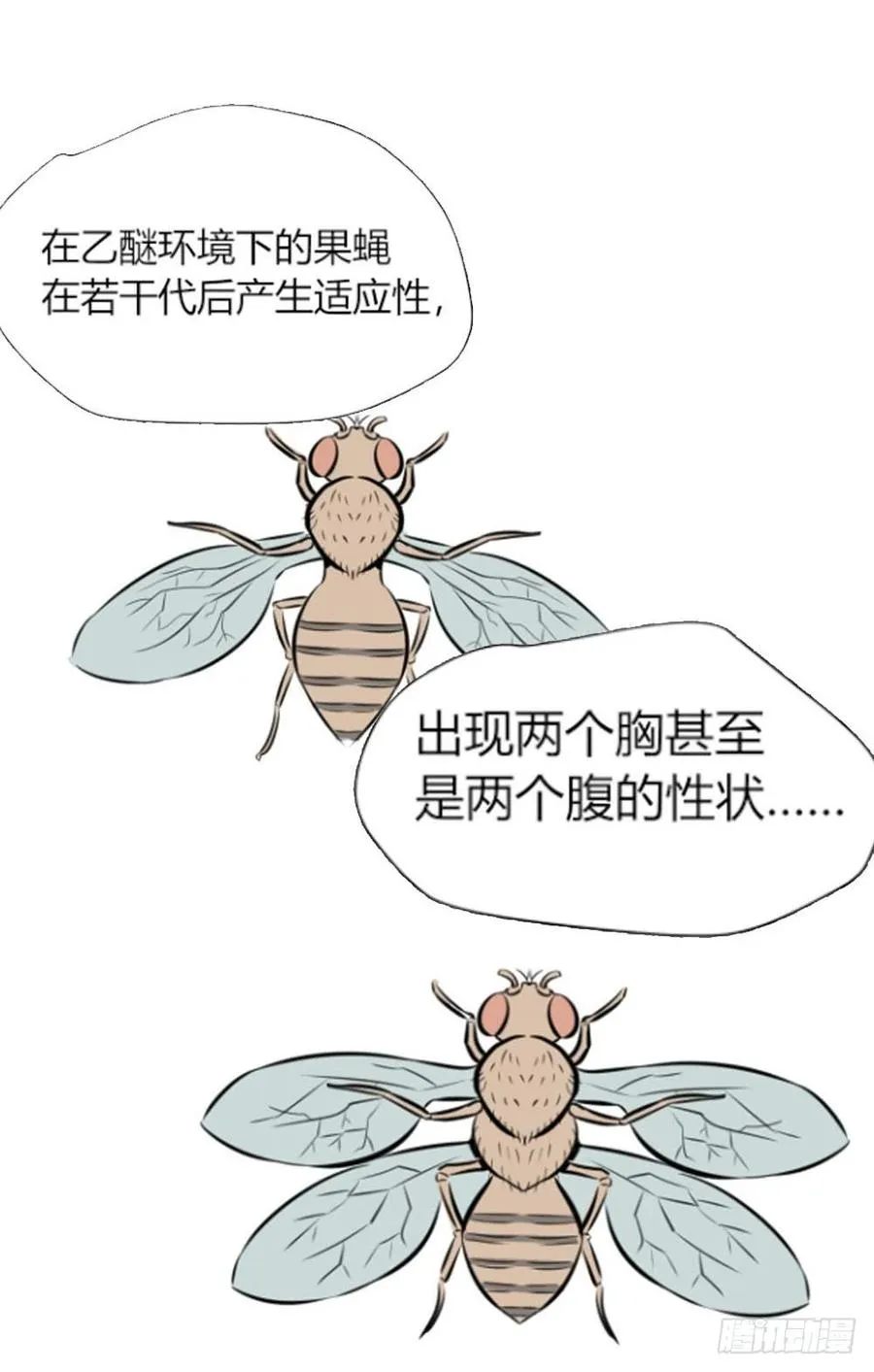 糖糖239