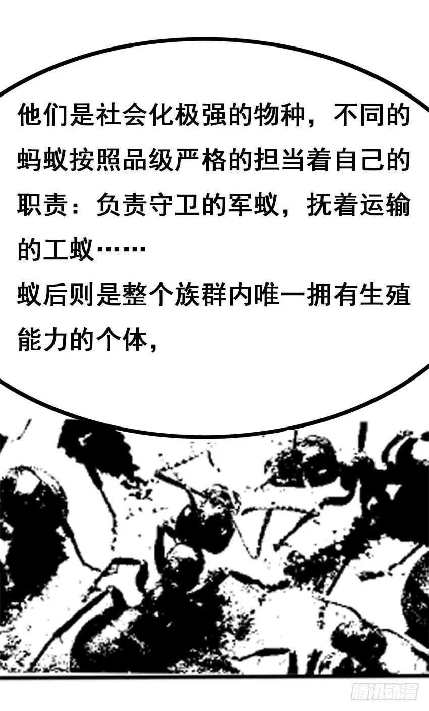 物尽天择 适者生存！124