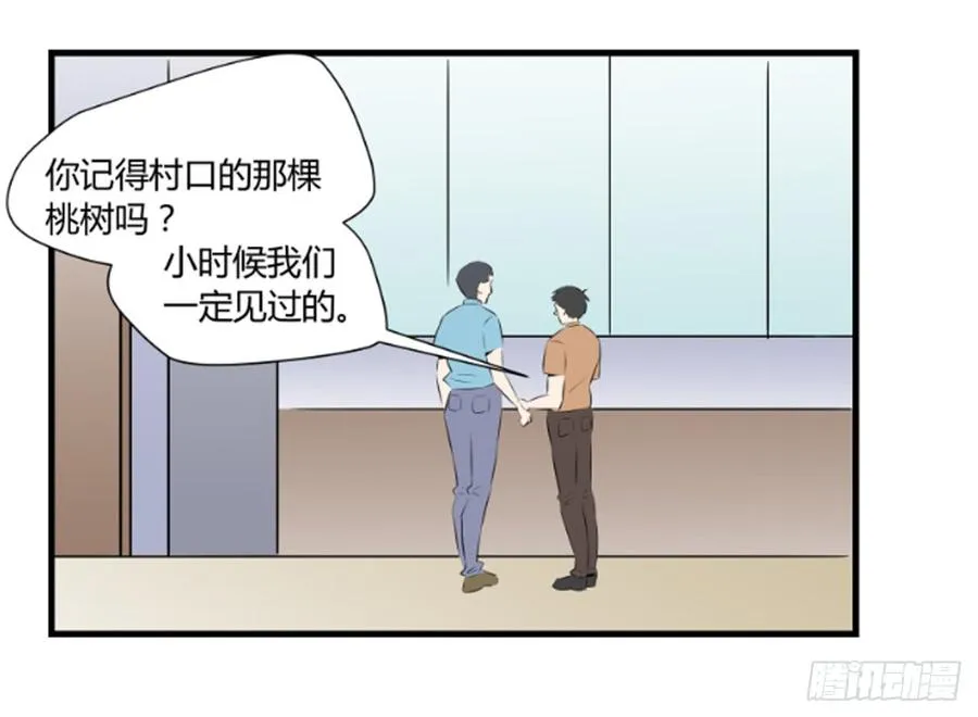 机会31
