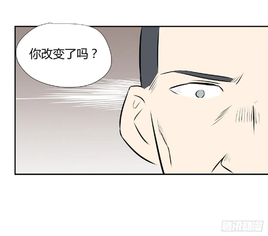 食物链顶端41