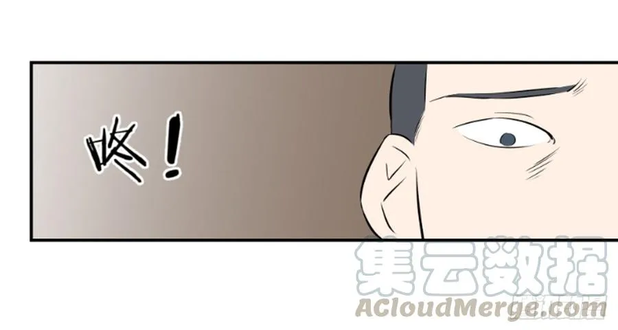 机会335