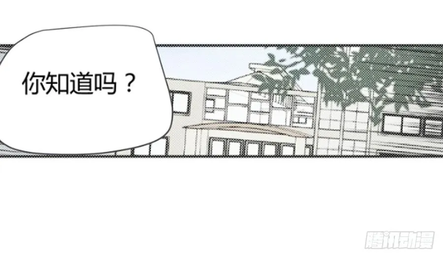 叶玲313