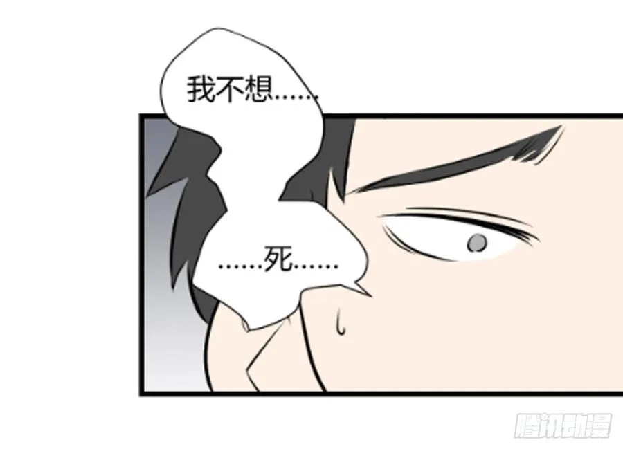 机会333