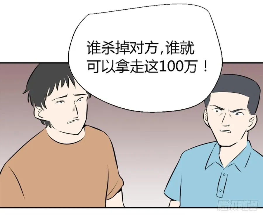 机会244