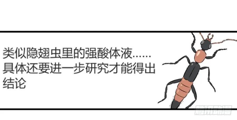 打破间断平衡！41