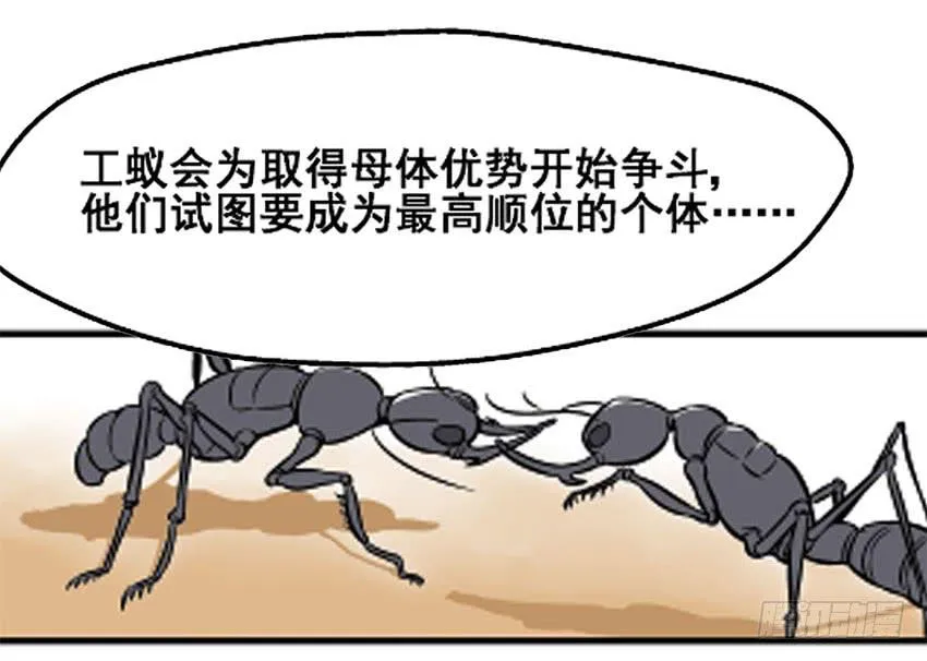 物尽天择 适者生存！125