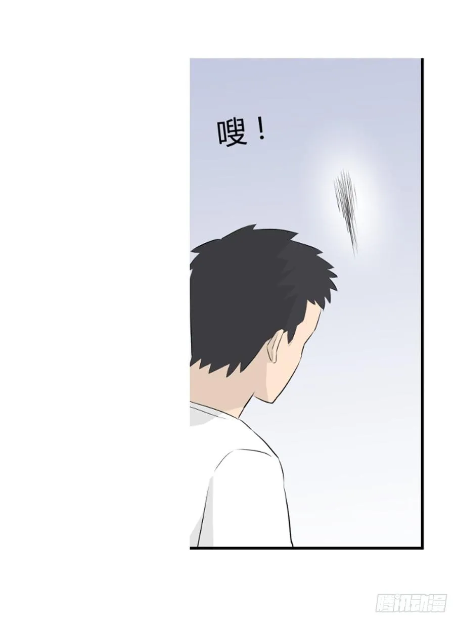 ���任31