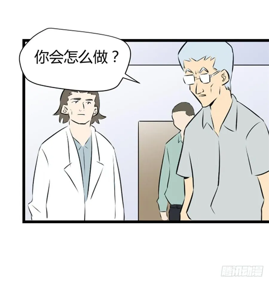 ST素29