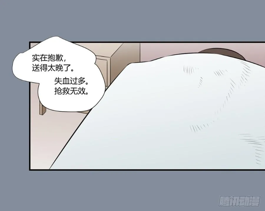 机会43