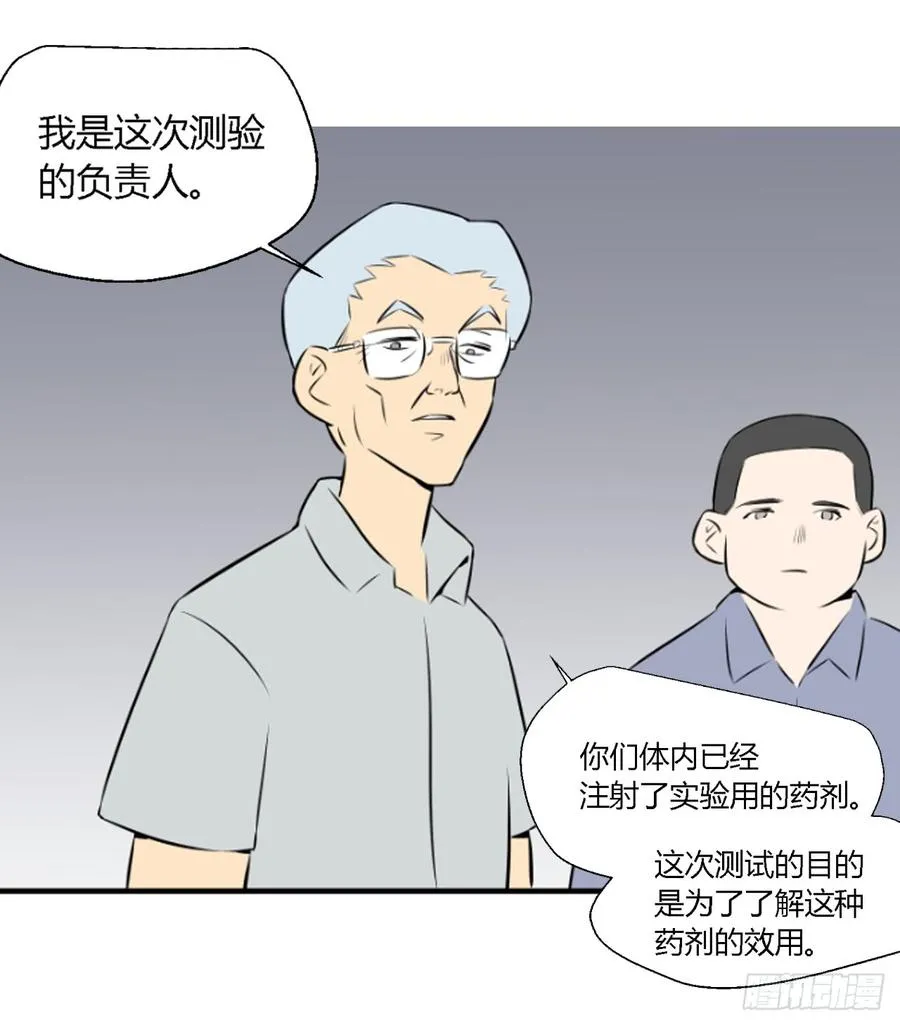 机会238