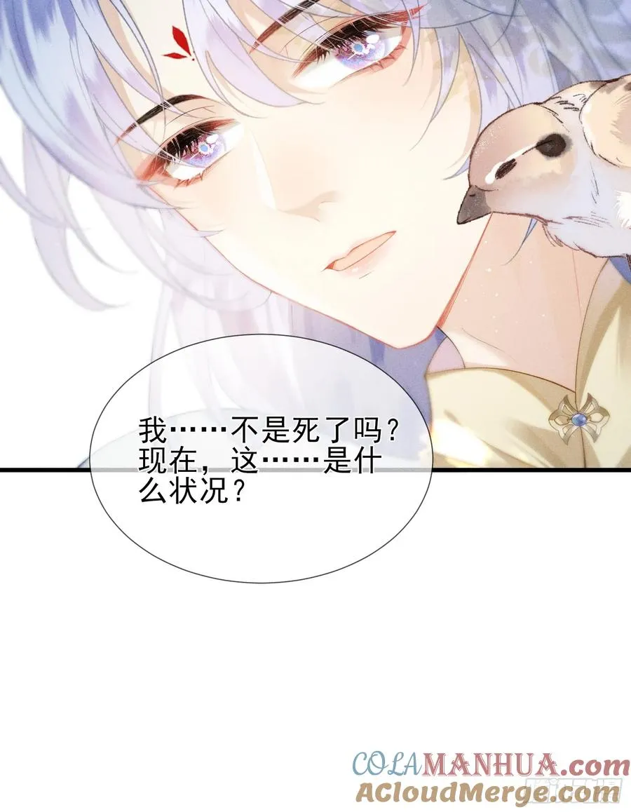 第1话 重生在崽崽没歪时54