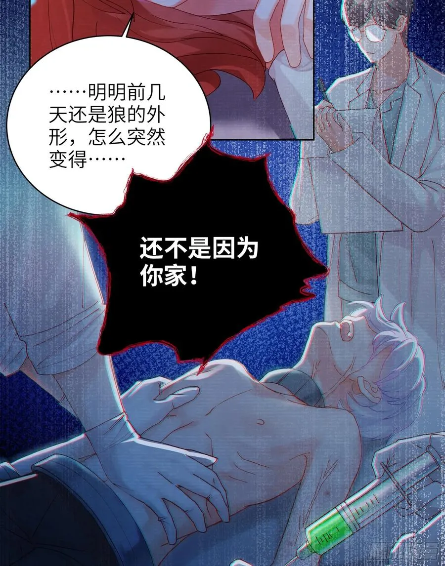 第15话 嗷呜——白熊出击29