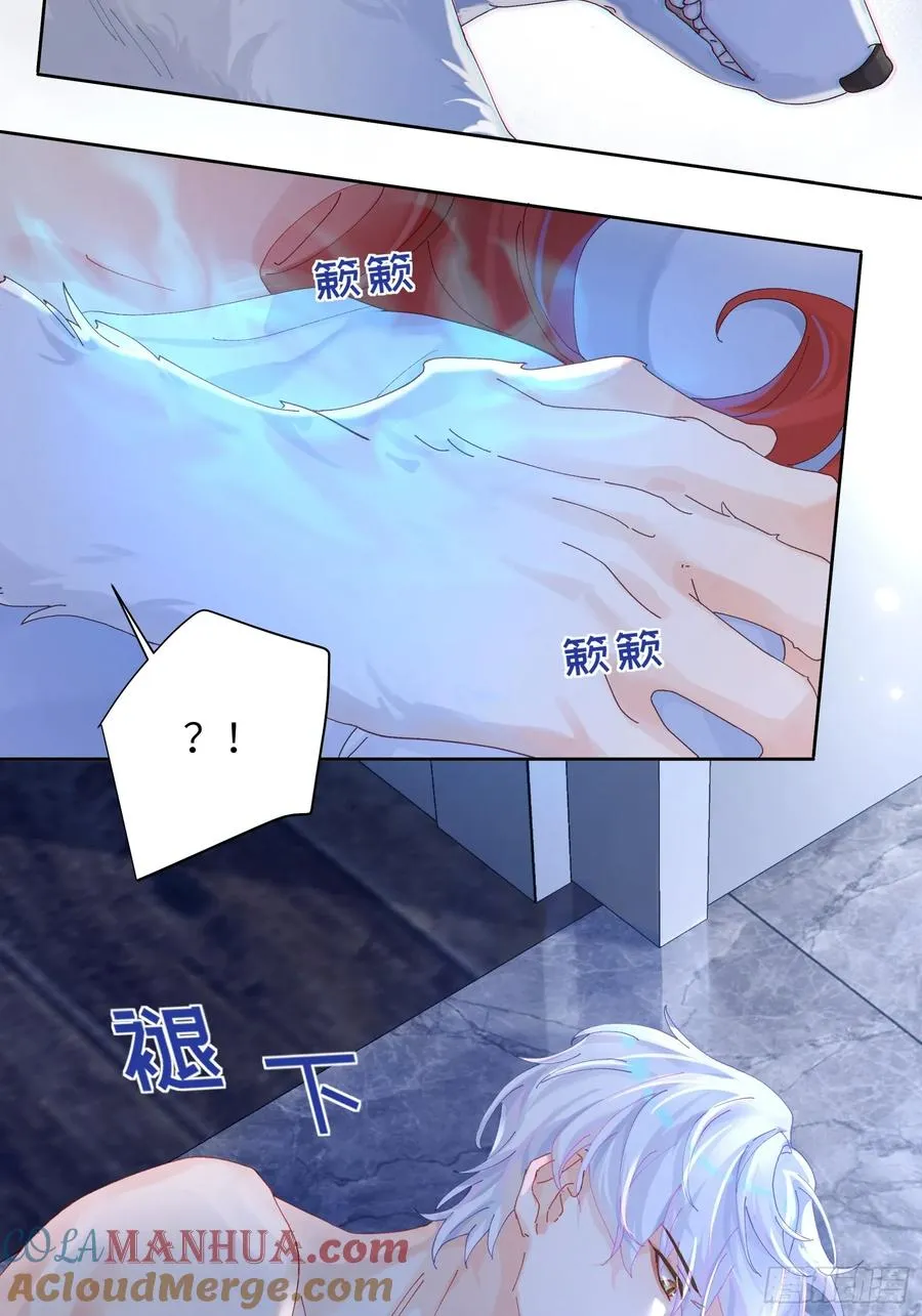第16话 熊的OO好圆！30