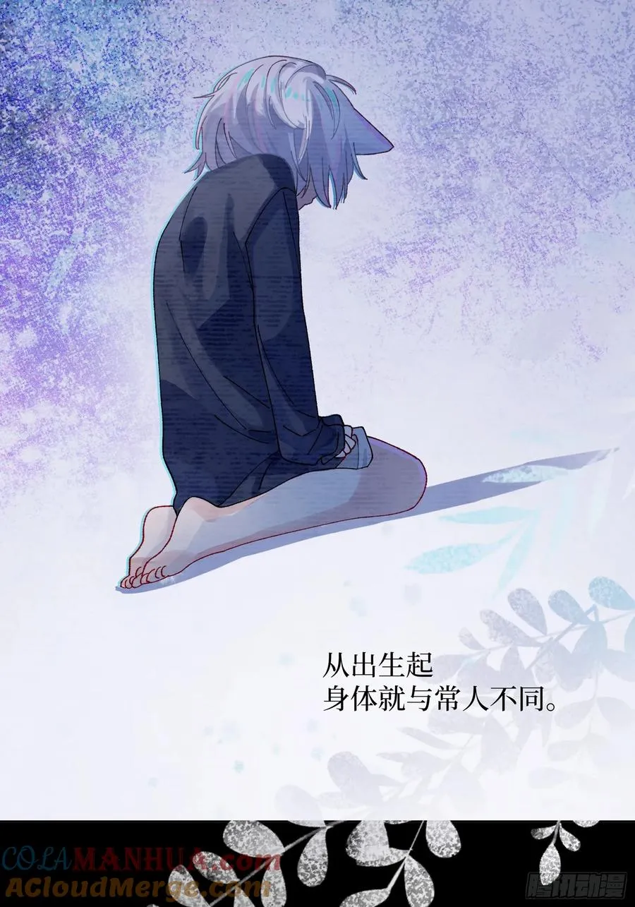 第4话 毛茸茸先生22