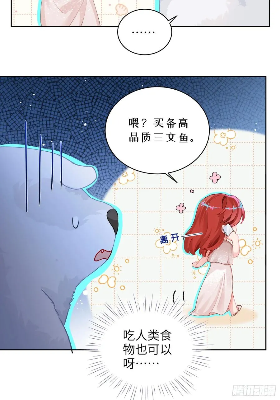 第15话 嗷呜——白熊出击16