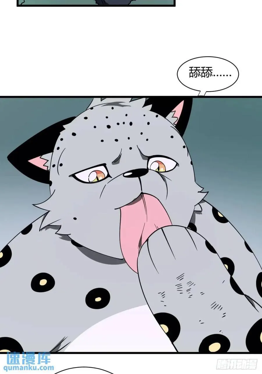 风雪豹的回忆（上）29
