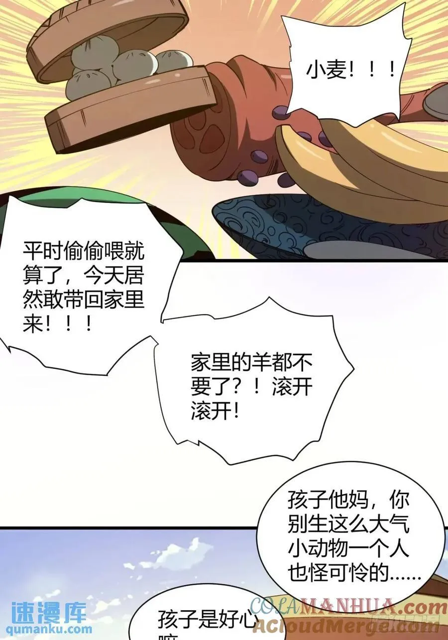 风雪豹的回忆（上）26