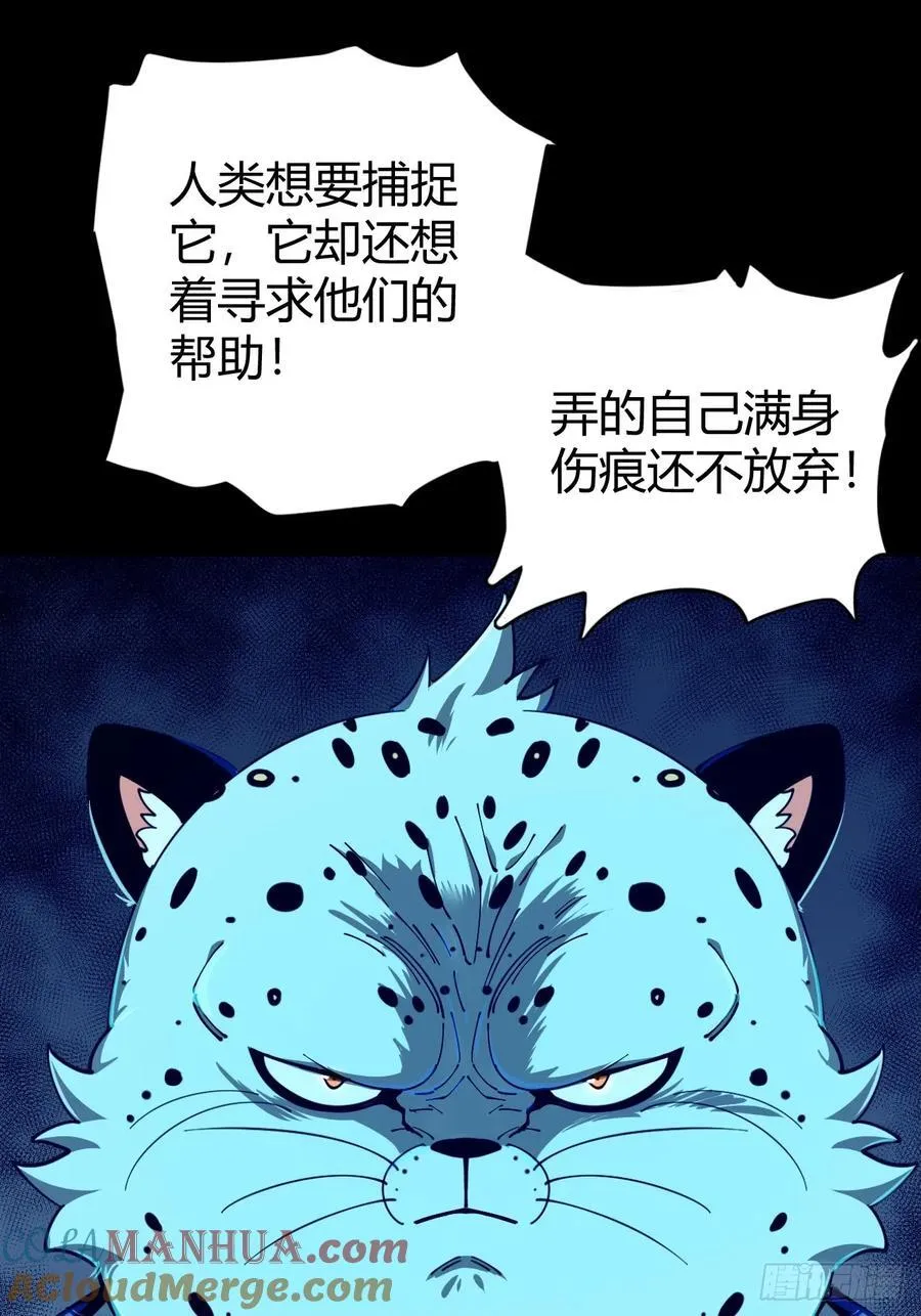 风雪豹的真面目26