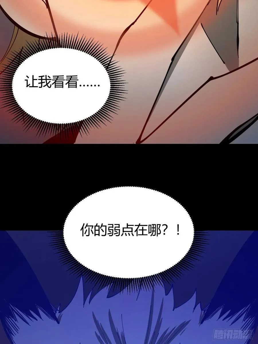 两只风雪豹27