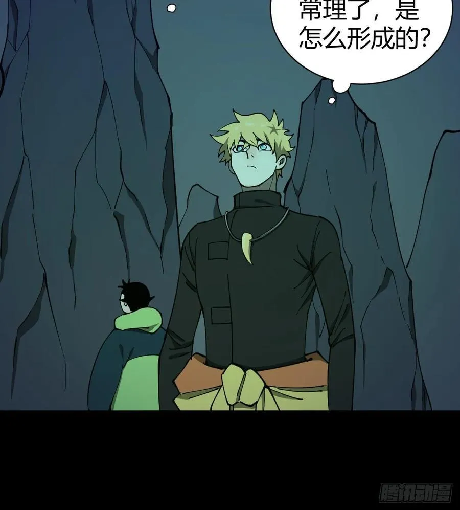 两只风雪豹7