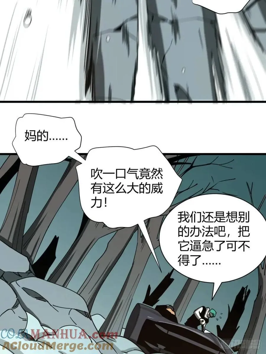风雪豹的回忆（中）22