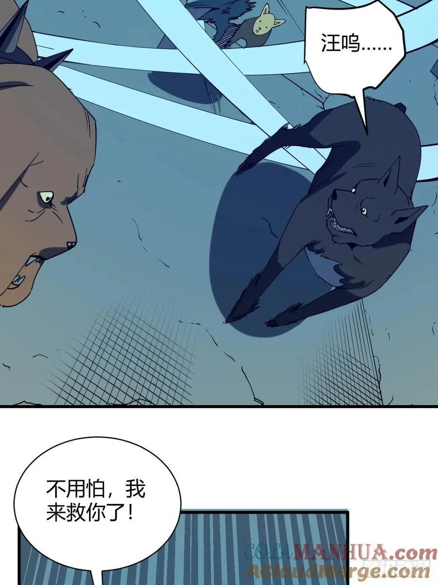 小蕾消失14