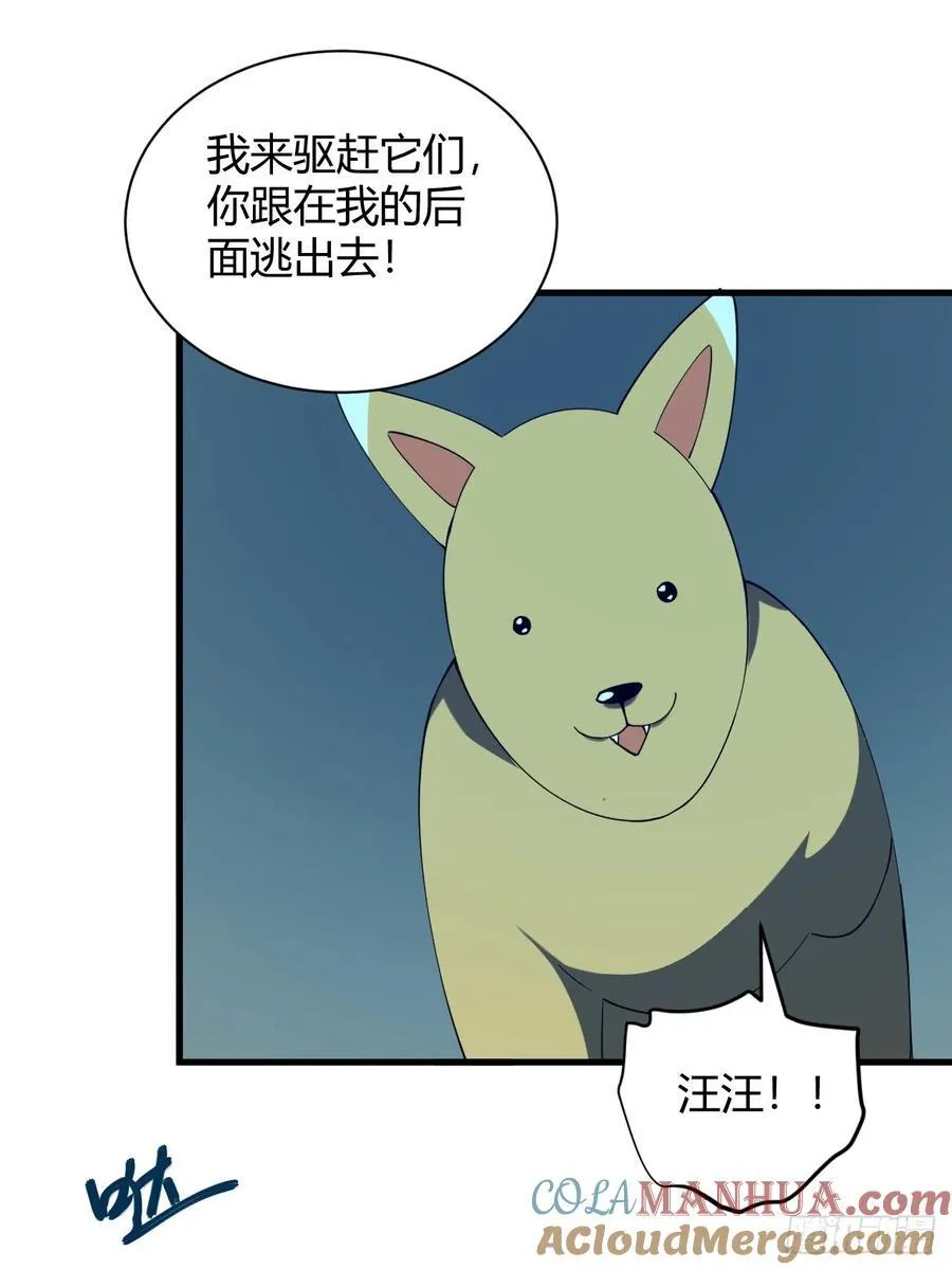 小蕾消失16