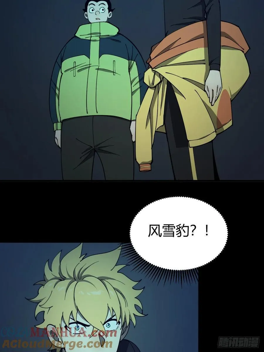 两只风雪豹10
